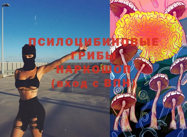 синтетический гашиш Алексин