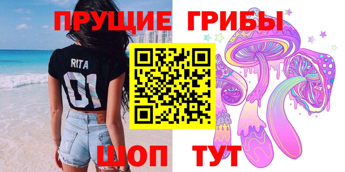 Псилоцибиновые грибы Psilocybe Серов